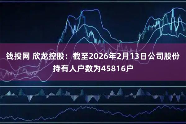 钱投网 欣龙控股：截至2026年2月13日公司股份持有人户数为45816户