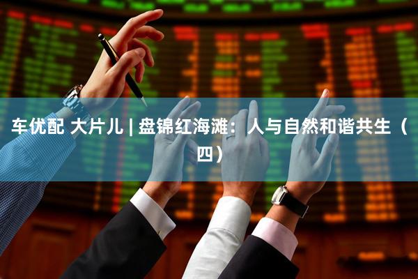 车优配 大片儿 | 盘锦红海滩：人与自然和谐共生（四）