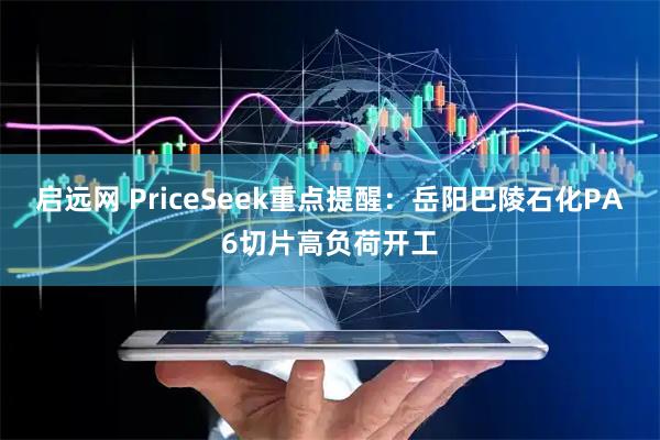 启远网 PriceSeek重点提醒：岳阳巴陵石化PA6切片高负荷开工