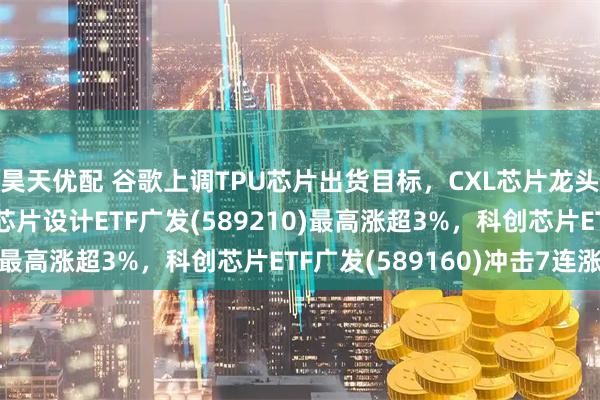 昊天优配 谷歌上调TPU芯片出货目标，CXL芯片龙头澜起科技受益，科创芯片设计ETF广发(589210)最高涨超3%，科创芯片ETF广发(589160)冲击7连涨