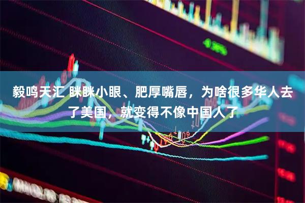 毅鸣天汇 眯眯小眼、肥厚嘴唇，为啥很多华人去了美国，就变得不像中国人了