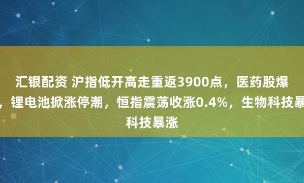 汇银配资 沪指低开高走重返3900点，医药股爆发，锂电池掀涨停潮，恒指震荡收涨0.4%，生物科技暴涨
