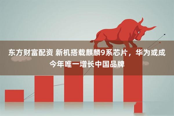 东方财富配资 新机搭载麒麟9系芯片,华为或成今年唯一增长中国品牌