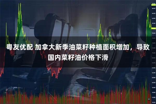 粤友优配 加拿大新季油菜籽种植面积增加，导致国内菜籽油价格下滑