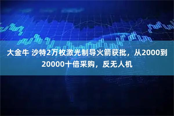 大金牛 沙特2万枚激光制导火箭获批，从2000到20000十倍采购，反无人机